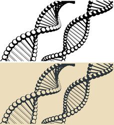 Over 90 Free DNA Vectors .